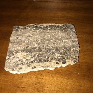 Turritella agate, (great for jewelry making)